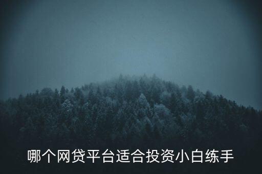 什么貸款app可以投資，有沒有哪一個平臺可以貸款投資啊