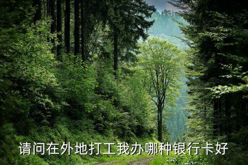 請(qǐng)問在外地打工我辦哪種銀行卡好