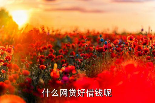 什么網(wǎng)貸好借錢呢