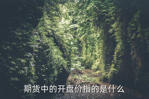 期貨中的開盤價(jià)指的是什么