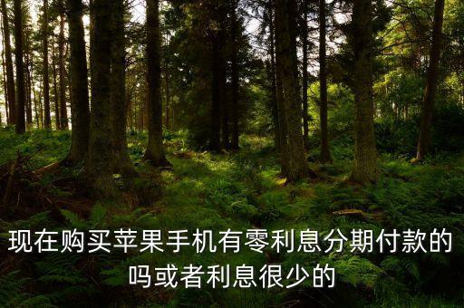 現(xiàn)在購買蘋果手機有零利息分期付款的嗎或者利息很少的