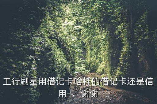 工行刷星用借記卡啥樣的借記卡還是信用卡  謝謝