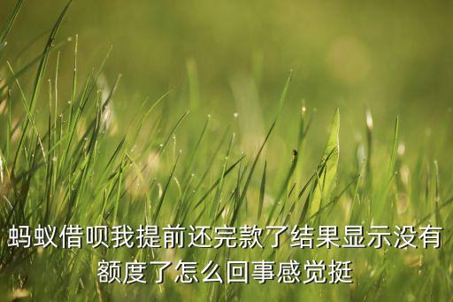 螞蟻借唄我提前還完款了結(jié)果顯示沒有額度了怎么回事感覺挺