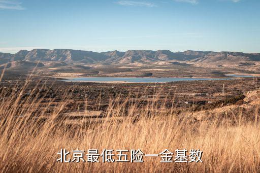 北京的一金標(biāo)準(zhǔn)是什么樣的，北京五險(xiǎn)一金多少錢什么比例