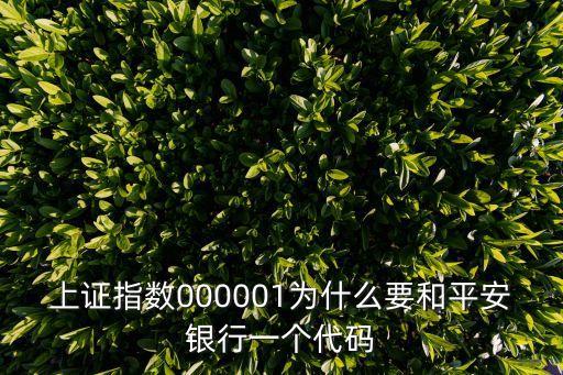 上證指數(shù)000001為什么要和平安銀行一個(gè)代碼