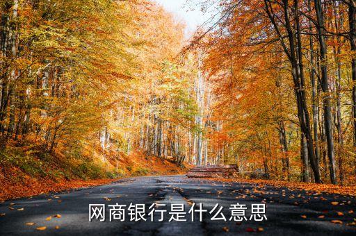網(wǎng)商銀行是什么意思