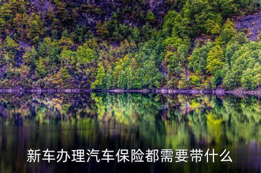新車上車險(xiǎn)需要帶什么證件，新車買保險(xiǎn)需要帶什么資料