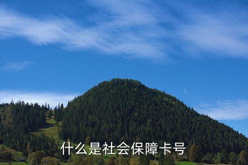 保險(xiǎn)卡號(hào)是什么，什么是社會(huì)保障卡號(hào)