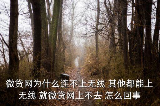 微貸網(wǎng)為什么連不上無線 其他都能上無線 就微貸網(wǎng)上不去 怎么回事