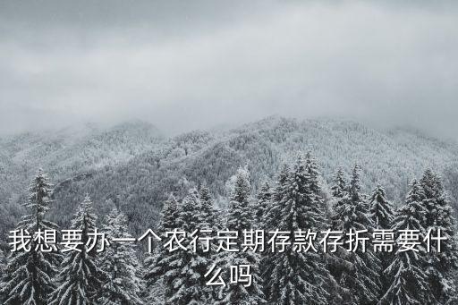 我想要辦一個農(nóng)行定期存款存折需要什么嗎