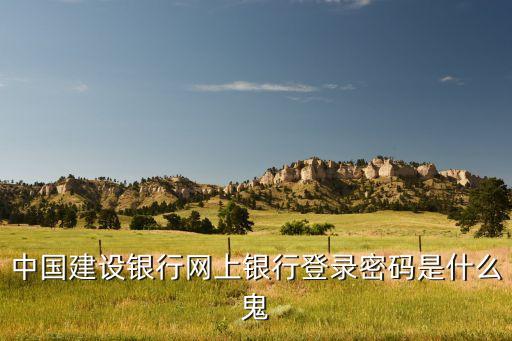 中國建設(shè)銀行網(wǎng)上銀行登錄密碼是什么鬼