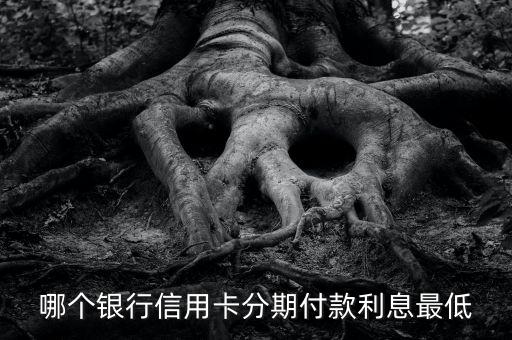哪個(gè)銀行信用卡分期付款利息最低