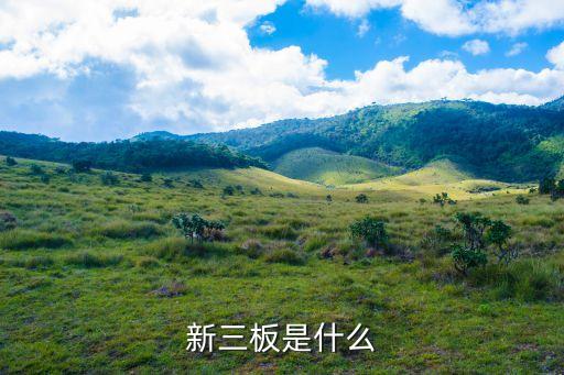 新三板是什么