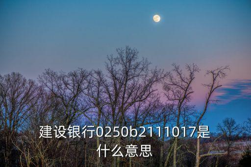 建設(shè)銀行0250b2111017是什么意思