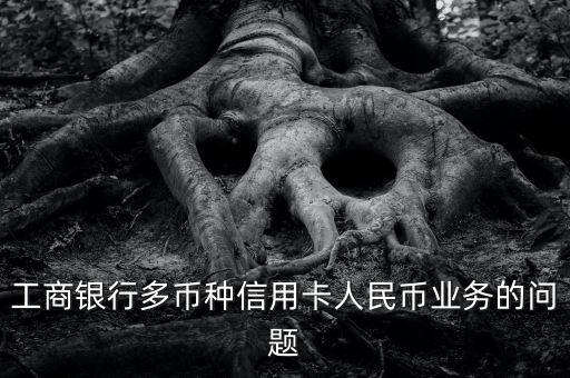 工行多幣種有什么用，工商銀行多幣種信用卡人民幣業(yè)務(wù)的問題