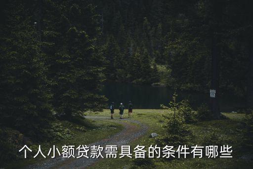 小額貸款包括什么條件，申請(qǐng)小額貸款的條件有哪些