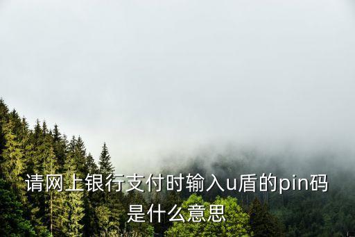請(qǐng)網(wǎng)上銀行支付時(shí)輸入u盾的pin碼是什么意思