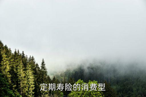 定期壽險的消費(fèi)型