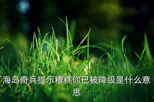 海島奇兵提示糟糕你已被降級是什么意思