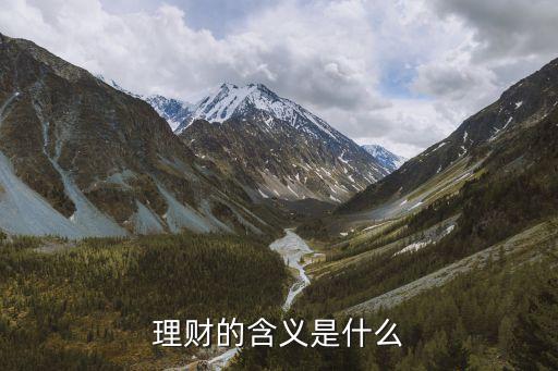理財?shù)暮x是什么