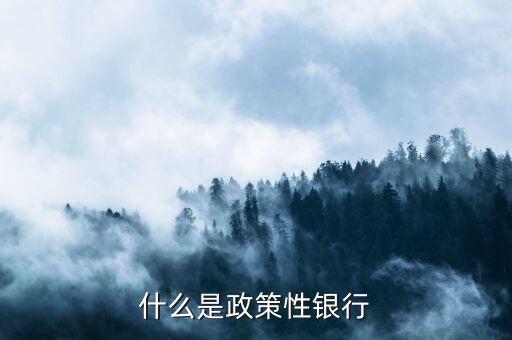 什么是政策性銀行