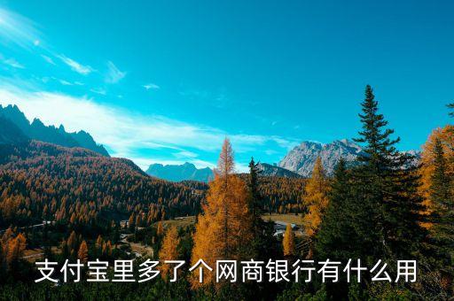 支付寶里的網(wǎng)商銀行是什么意思，支付寶里多了個網(wǎng)商銀行有什么用