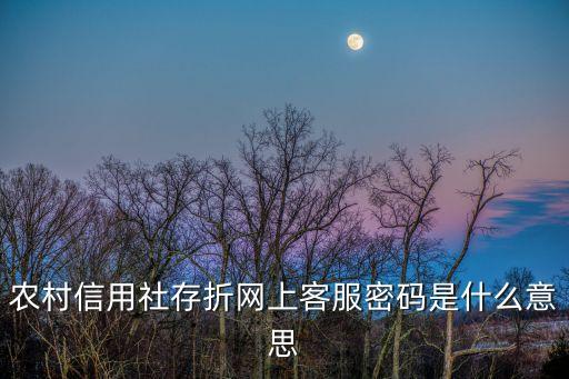 農(nóng)村信用社存折網(wǎng)上客服密碼是什么意思
