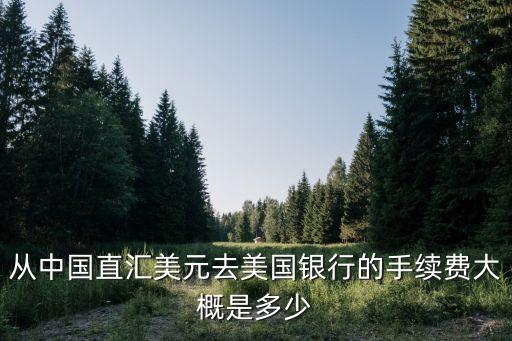 從中國直匯美元去美國銀行的手續(xù)費大概是多少