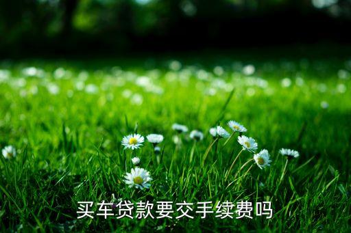 買車貸款要交手續(xù)費(fèi)嗎