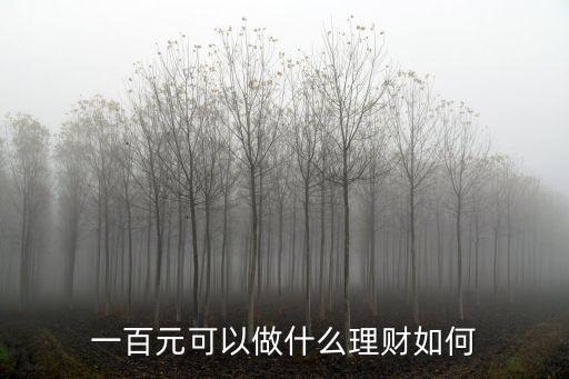 一百元可以做什么理財(cái)如何