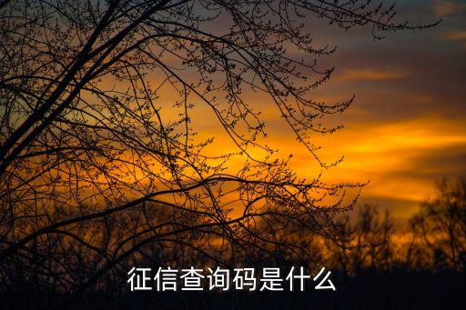 信用卡發(fā)查詢碼是什么意思啊，農(nóng)業(yè)銀行信用卡查詢碼是指什么