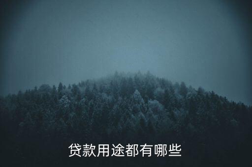 貸款用途選什么，個人貸款的貸款用途有哪些