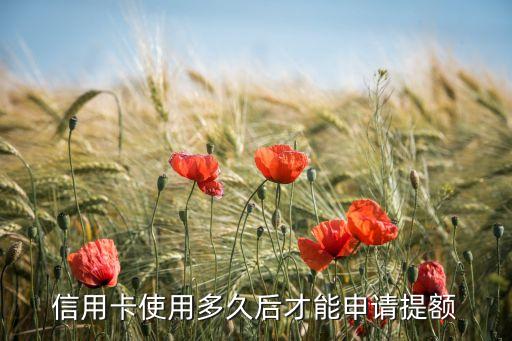 信用卡使用多久后才能申請(qǐng)?zhí)犷~