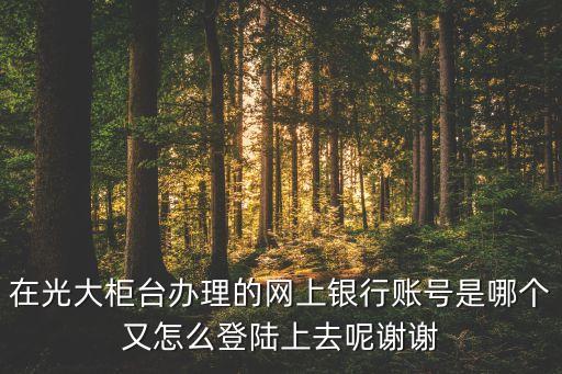 在光大柜臺辦理的網(wǎng)上銀行賬號是哪個又怎么登陸上去呢謝謝