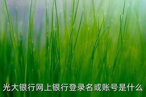 光大銀行網(wǎng)上銀行登錄名或賬號是什么
