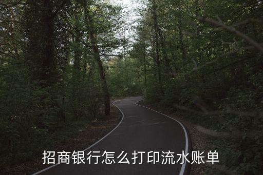 招商銀行怎么打印流水賬單