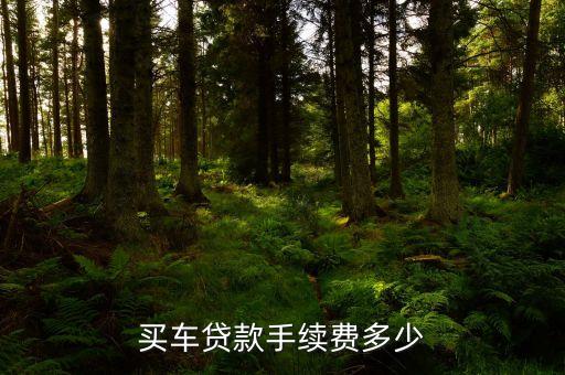 買(mǎi)車(chē)貸款手續(xù)費(fèi)多少