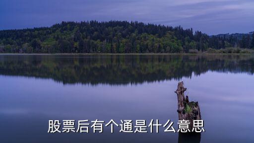 股票上的通表示什么意思是什么意思，股票后有個(gè)通是什么意思