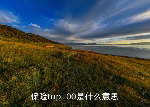 保險top100是什么意思