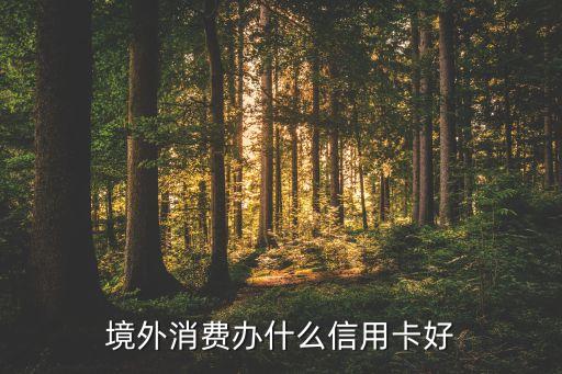 境外消費(fèi)辦什么信用卡好