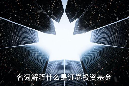 名詞解釋什么是證券投資基金