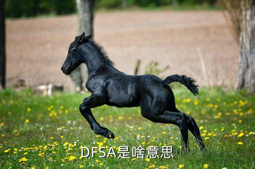 單芯卡是什么意思，XYXF 是什么意思