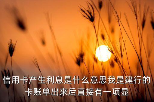 信用卡的利息是什么意思，信用卡CN利息什么意思