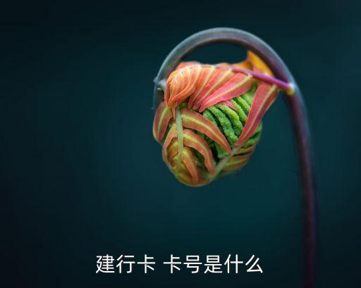 建行卡 卡號(hào)是什么