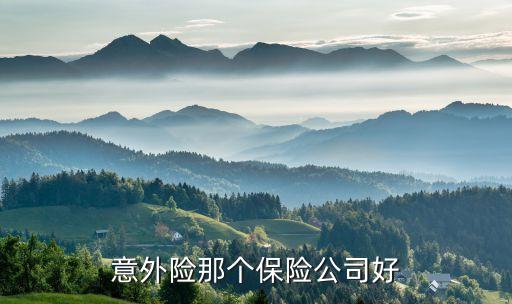意外險(xiǎn)那個(gè)保險(xiǎn)公司好