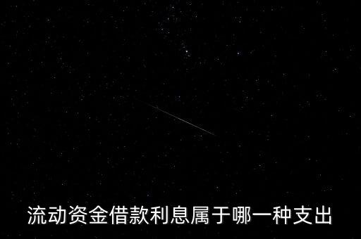流動資金利息計入什么，流動資金借款利息屬于哪一種支出