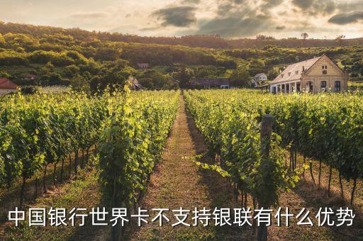 中行world是什么卡，中國建設銀行帶world的是什么卡