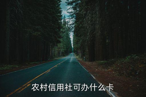 農(nóng)村信用社可辦什么卡