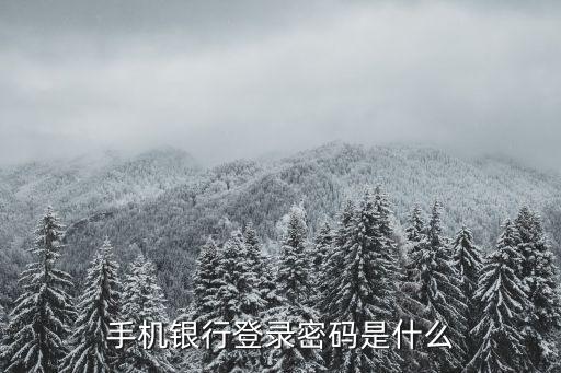手機銀行登錄密碼是什么