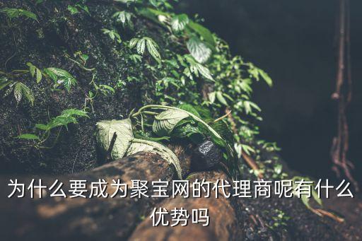 為什么要成為聚寶網的代理商呢有什么優(yōu)勢嗎